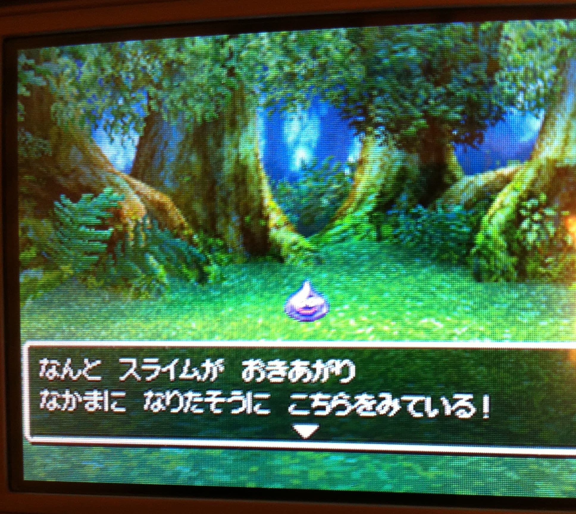ドラクエ5スライム(スラリン)は強い?仲間になる場所・おすすめ装備